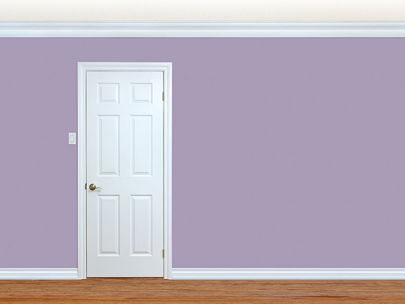 SRK is Co-lead Counsel in Interior Molded Doors Antitrust Litigation